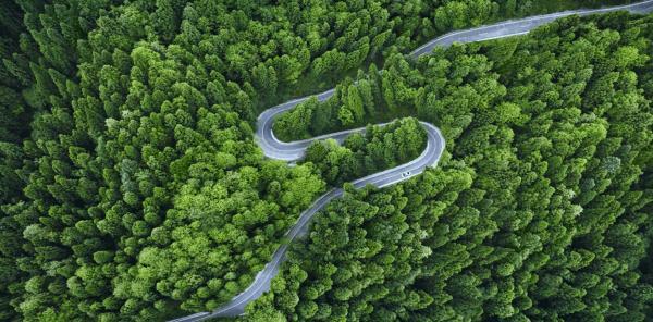 森林茂密的地區(qū)對(duì)于基于衛(wèi)星的自動(dòng)道路標(biāo)記導(dǎo)航來說是一個(gè)巨大的挑戰(zhàn)